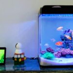A home aquarium with a lid, LED light and internal filter, sitting on a shelf next to small electronics