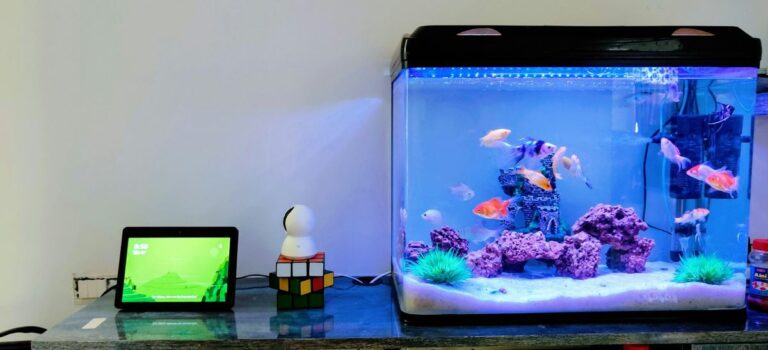 A home aquarium with a lid, LED light and internal filter, sitting on a shelf next to small electronics
