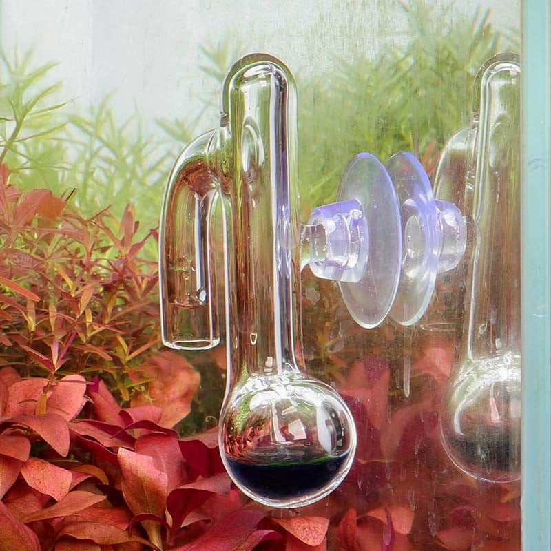 Glass CO2 drop checker mounted inside a planted aquarium