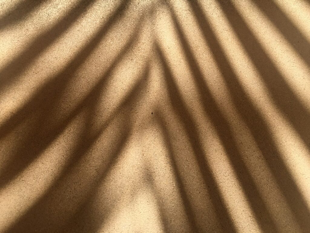 Shadow of a palm leaf on a warm-toned wall